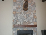 interior_fireplace20